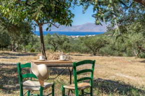 Amalia's Green Escape
